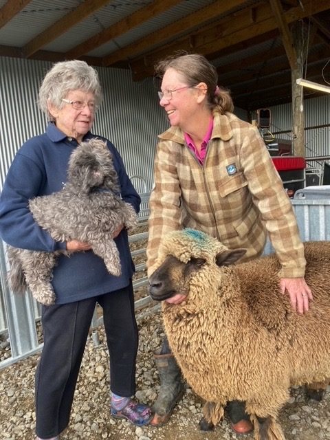 lynley with sheep