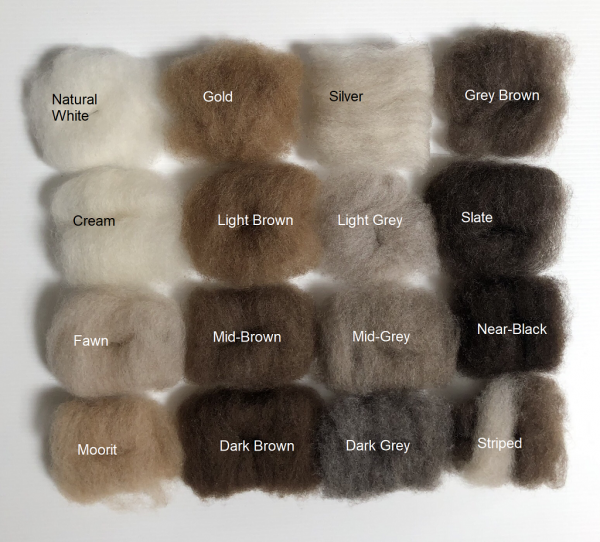 Carded wool colours