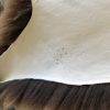 sheepskin sale