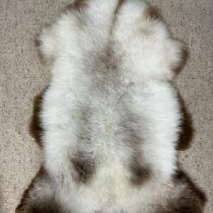 Sheepskin Black sheep