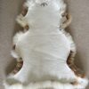 Moorit and White patches Sheepskin #2219 - Image 2