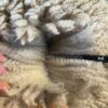 Romney 2TH Ram 1466/23 - Image 5